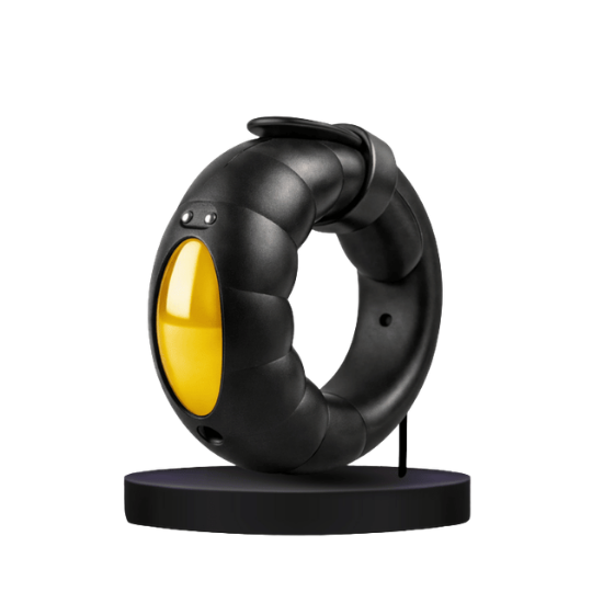 VigorVolt